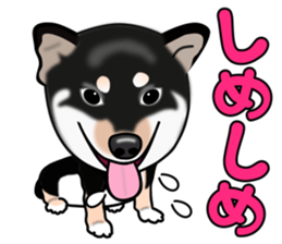 Kuroshibatchi sticker #8261007
