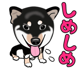 Kuroshibatchi sticker #8261007