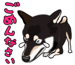 Kuroshibatchi sticker #8261009