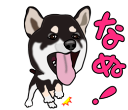 Kuroshibatchi sticker #8261013