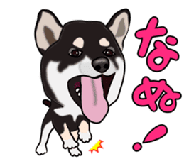 Kuroshibatchi sticker #8261013