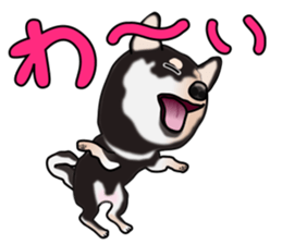 Kuroshibatchi sticker #8261019