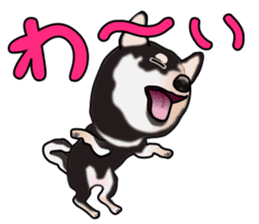 Kuroshibatchi sticker #8261019