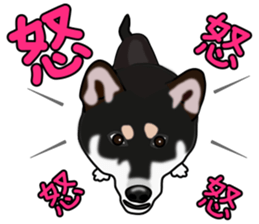 Kuroshibatchi sticker #8261021