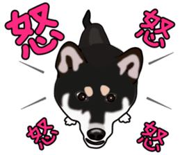Kuroshibatchi sticker #8261021