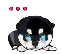 Kuroshibatchi sticker #8261023