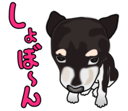 Kuroshibatchi sticker #8261027
