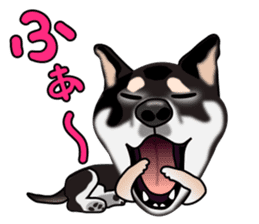 Kuroshibatchi sticker #8261029