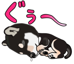 Kuroshibatchi sticker #8261030