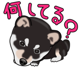 Kuroshibatchi sticker #8261032