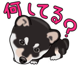 Kuroshibatchi sticker #8261032