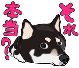 Kuroshibatchi sticker #8261033
