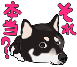 Kuroshibatchi sticker #8261033
