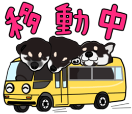 Kuroshibatchi sticker #8261037