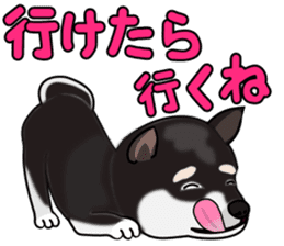 Kuroshibatchi sticker #8261038