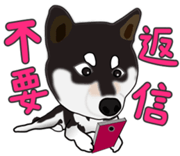 Kuroshibatchi sticker #8261040