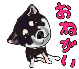 Kuroshibatchi sticker #8261041