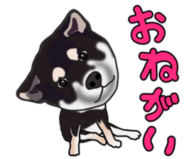 Kuroshibatchi sticker #8261041
