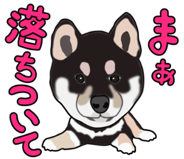 Kuroshibatchi sticker #8261042