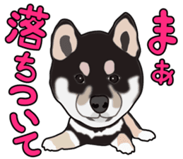 Kuroshibatchi sticker #8261042