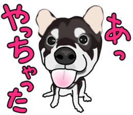 Kuroshibatchi sticker #8261043