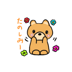 Kumachan of the bear