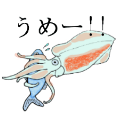 Tropical fish and creatures 2