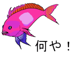 Tropical fish and creatures 2 sticker #8263487