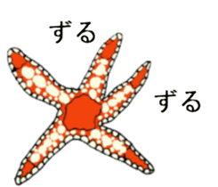 Tropical fish and creatures 2 sticker #8263491