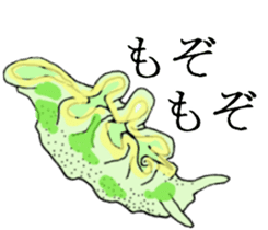 Tropical fish and creatures 2 sticker #8263499