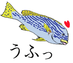 Tropical fish and creatures 2 sticker #8263513