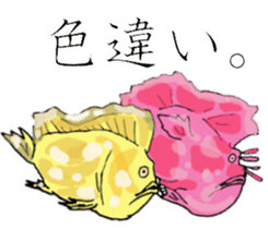 Tropical fish and creatures 2 sticker #8263519