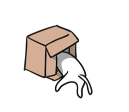 Lot sleep cat sticker #8264239