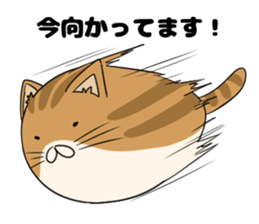 maru neko sticker #8264606