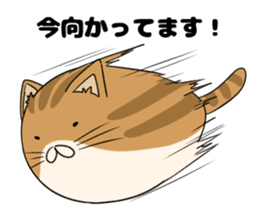 maru neko sticker #8264606