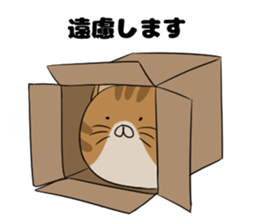 maru neko sticker #8264608