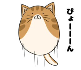 maru neko sticker #8264611