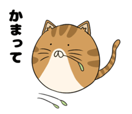 maru neko sticker #8264622