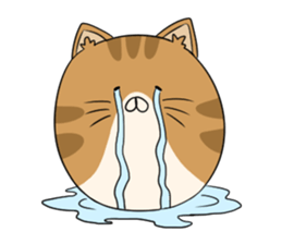 maru neko sticker #8264624