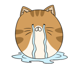 maru neko sticker #8264624