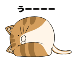 maru neko sticker #8264633
