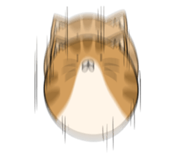 maru neko sticker #8264634