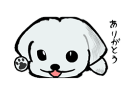 Maltese will not move sticker #8265846