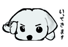 Maltese will not move sticker #8265847