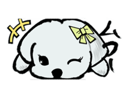 Maltese will not move sticker #8265848