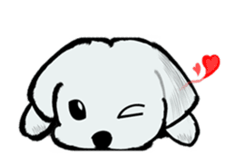 Maltese will not move sticker #8265849