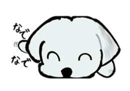 Maltese will not move sticker #8265850