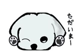 Maltese will not move sticker #8265853