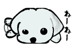 Maltese will not move sticker #8265855