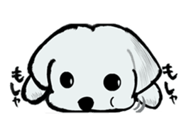 Maltese will not move sticker #8265858